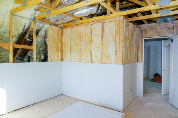 Best Insulation for New Construction  in Minden, LA